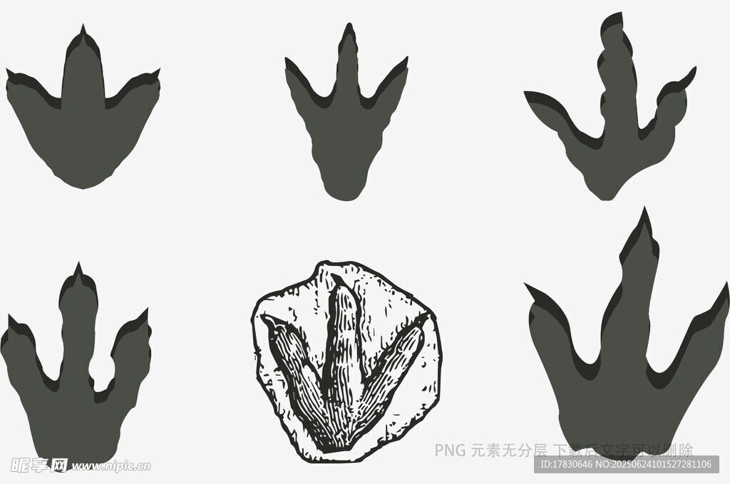 恐龍爪印與化石圖案