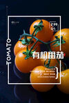 番茄海報(bào)