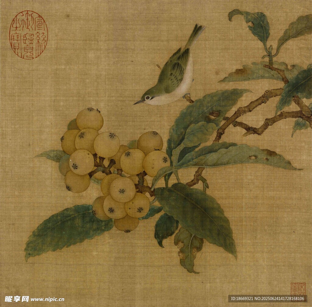 枇杷山鳥圖