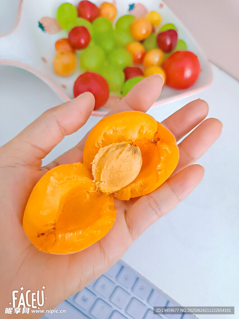 手捧切開的新鮮黃杏