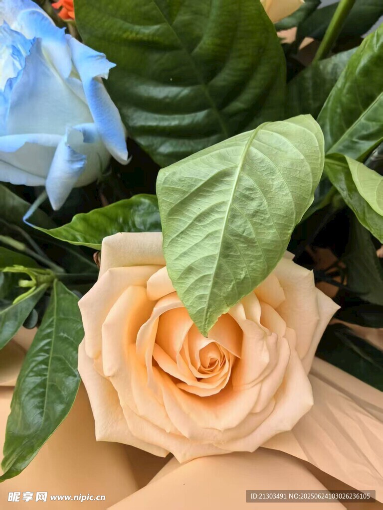 花