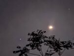 夜空下的樹與明亮天體