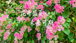 AI生畫(huà)