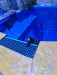 海豹