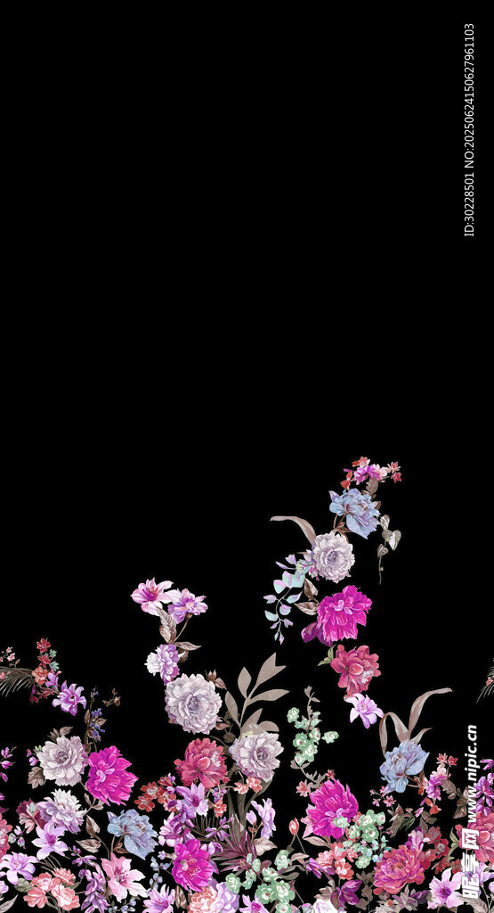 黑色背景下的多彩花卉