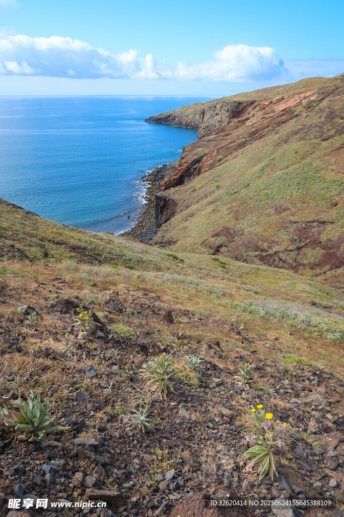 海岸邊的翠綠山坡與藍天