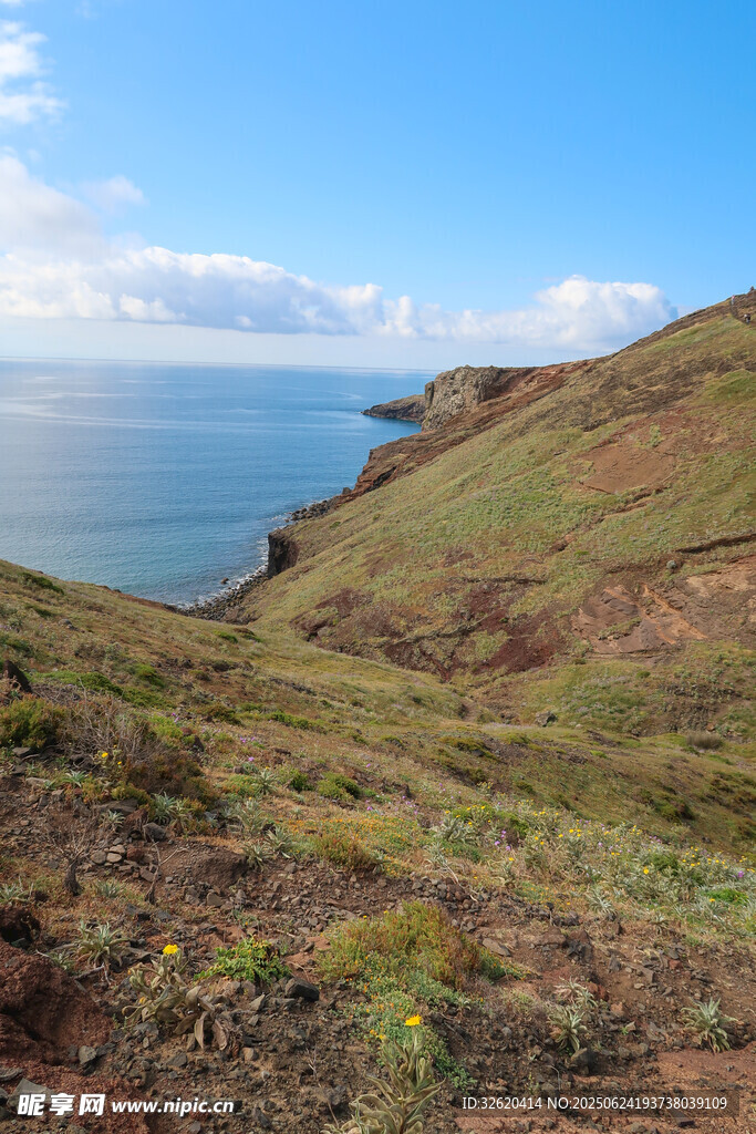 海岸邊的翠綠山坡美景