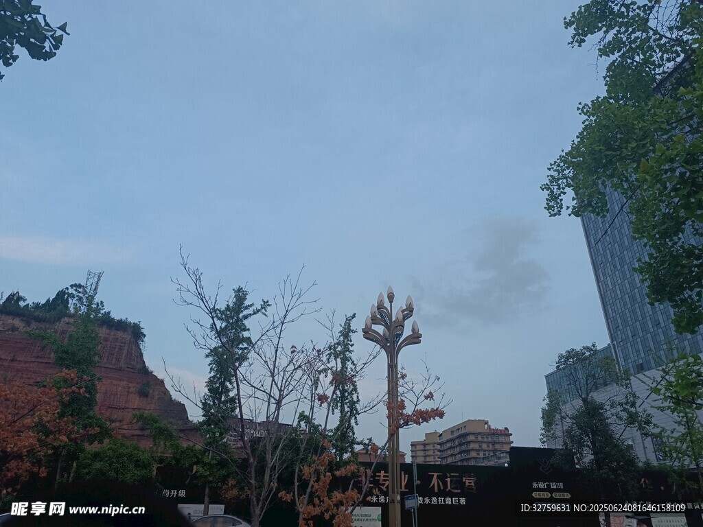 城市中受損的樹木與建筑
