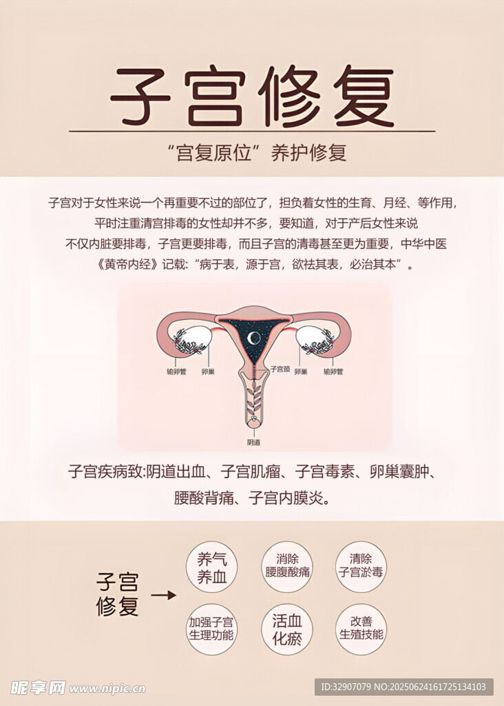 子宮修復知識科普