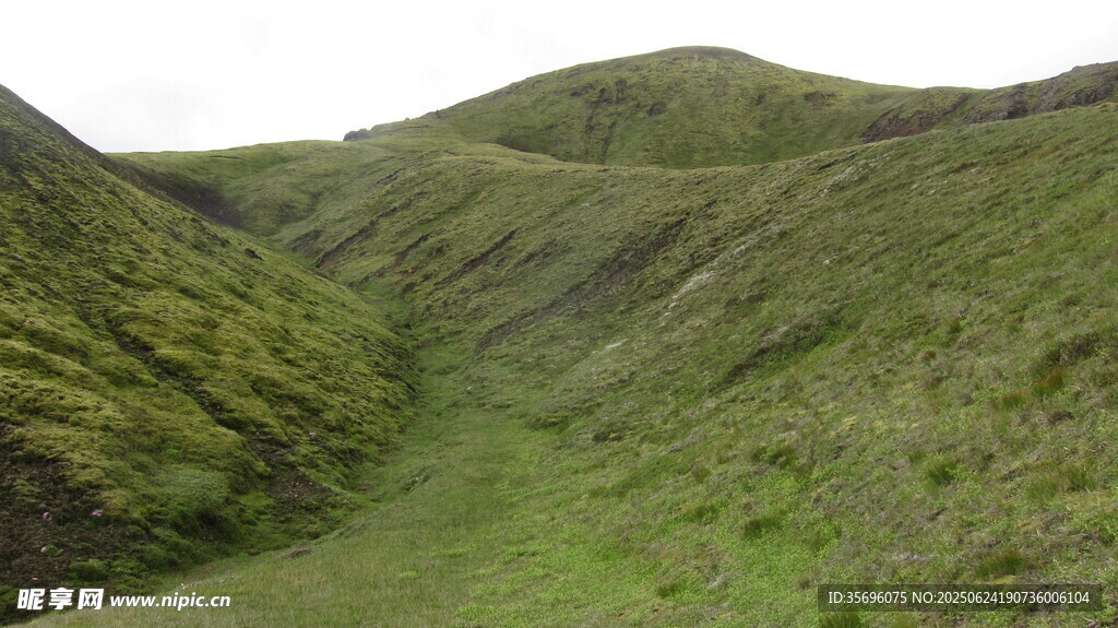 翠綠山谷間的自然美景
