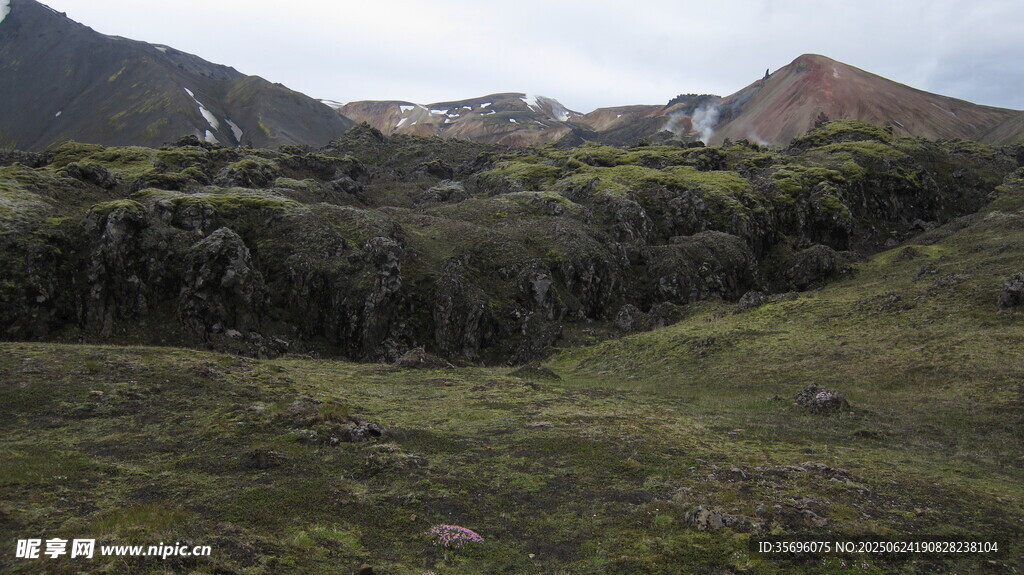 山間草地與遠處山巒景色