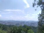 俯瞰城市與蔥郁山林景觀