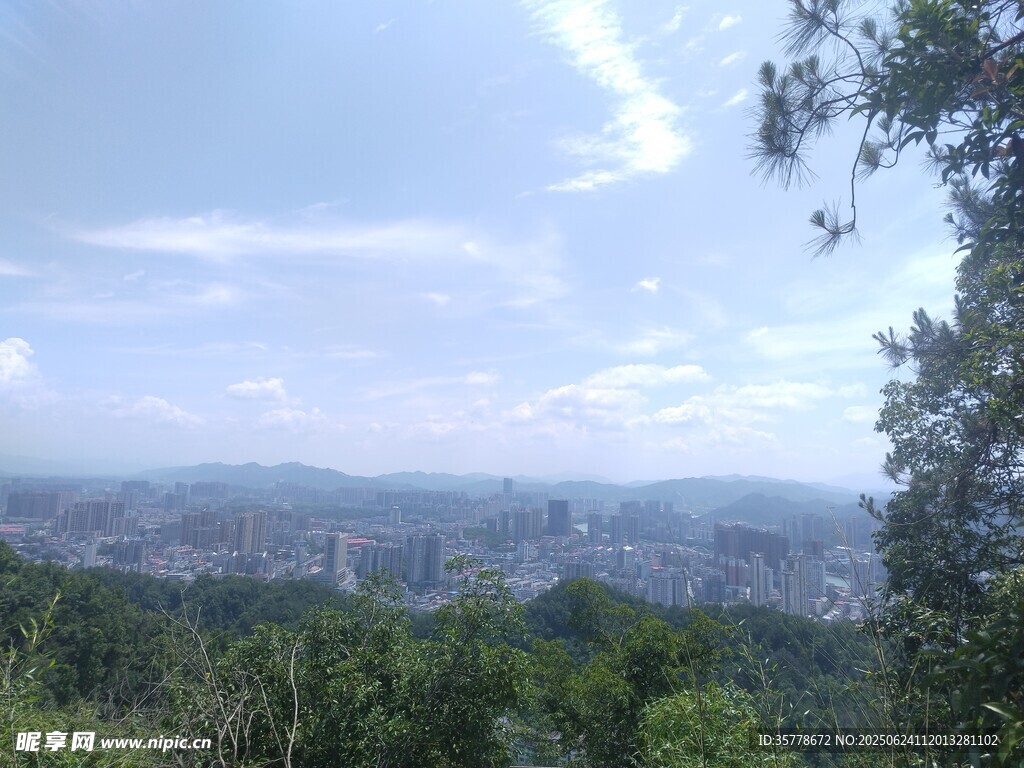 俯瞰城市與蔥郁山林景觀