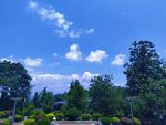 藍(lán)天綠樹間的美麗景致