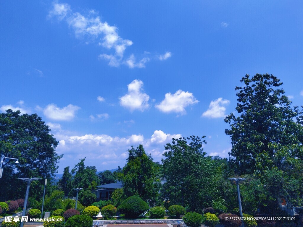 藍(lán)天綠樹間的美麗景致