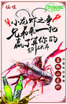 小龍蝦之愛 先喂飽你的胃