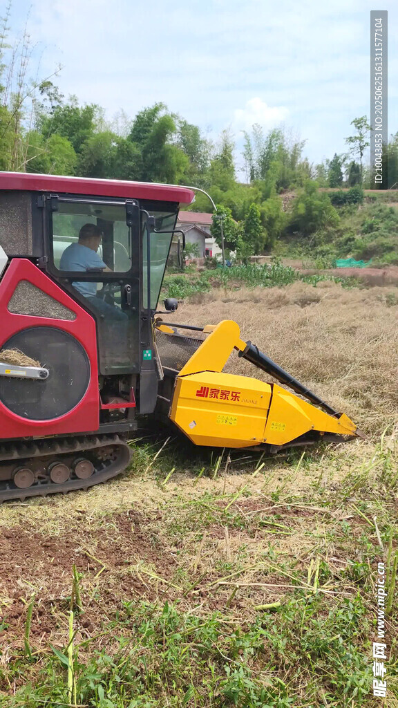 履帶式割草機在田間作業