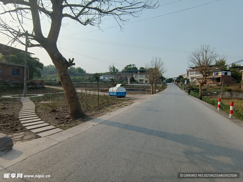 鄉(xiāng)村寧靜小路風景