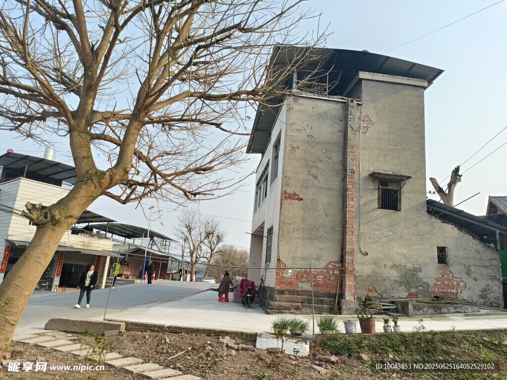 古樸中式建筑與蕭瑟樹木