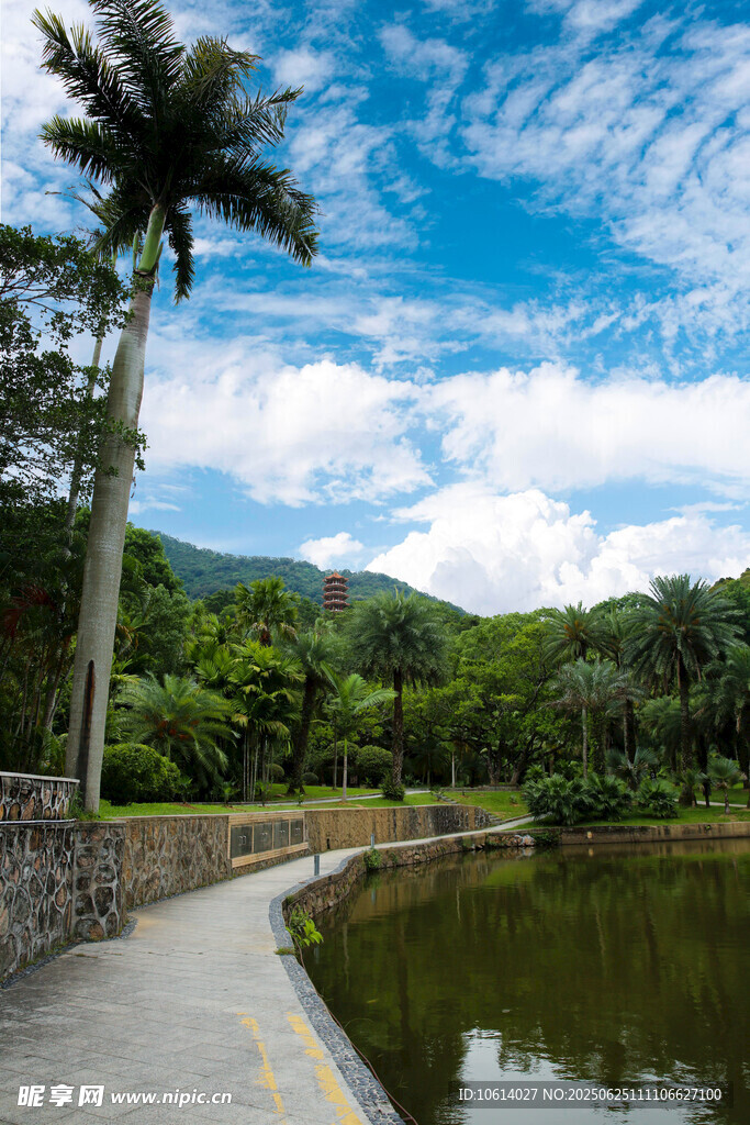 深圳仙湖