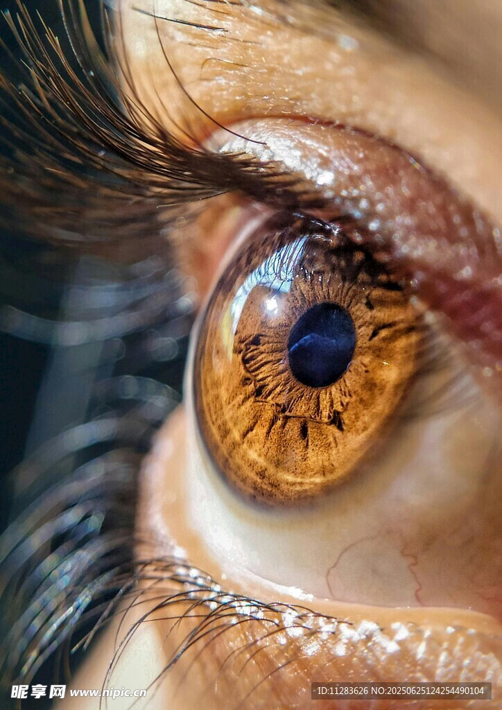 獨特花紋的迷人棕色眼眸