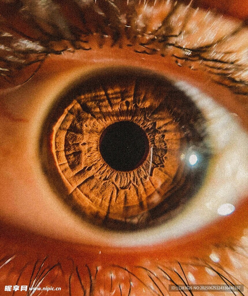 人類眼睛特寫