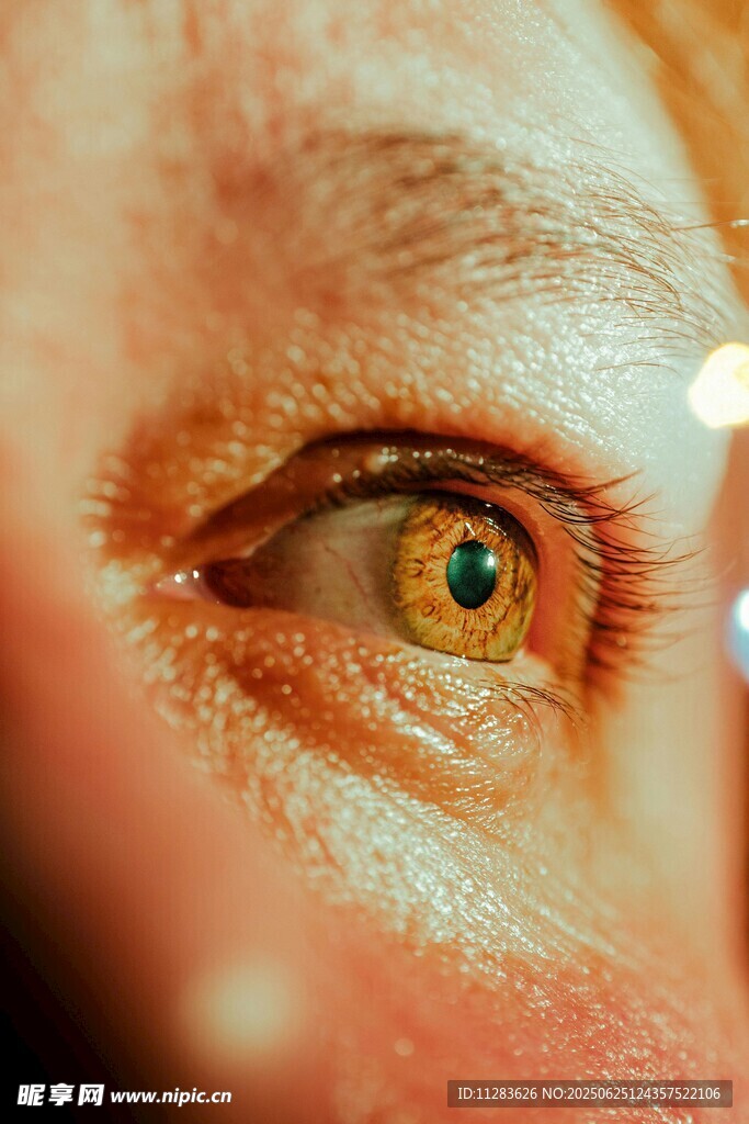 人類眼睛