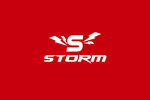 STORM標志
