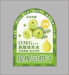 現(xiàn)榨回甘柑汁