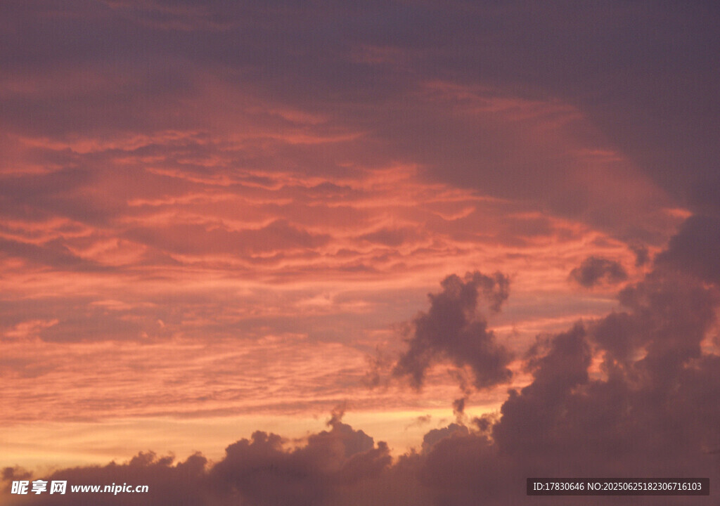 夕陽下的絢爛天空與樹木