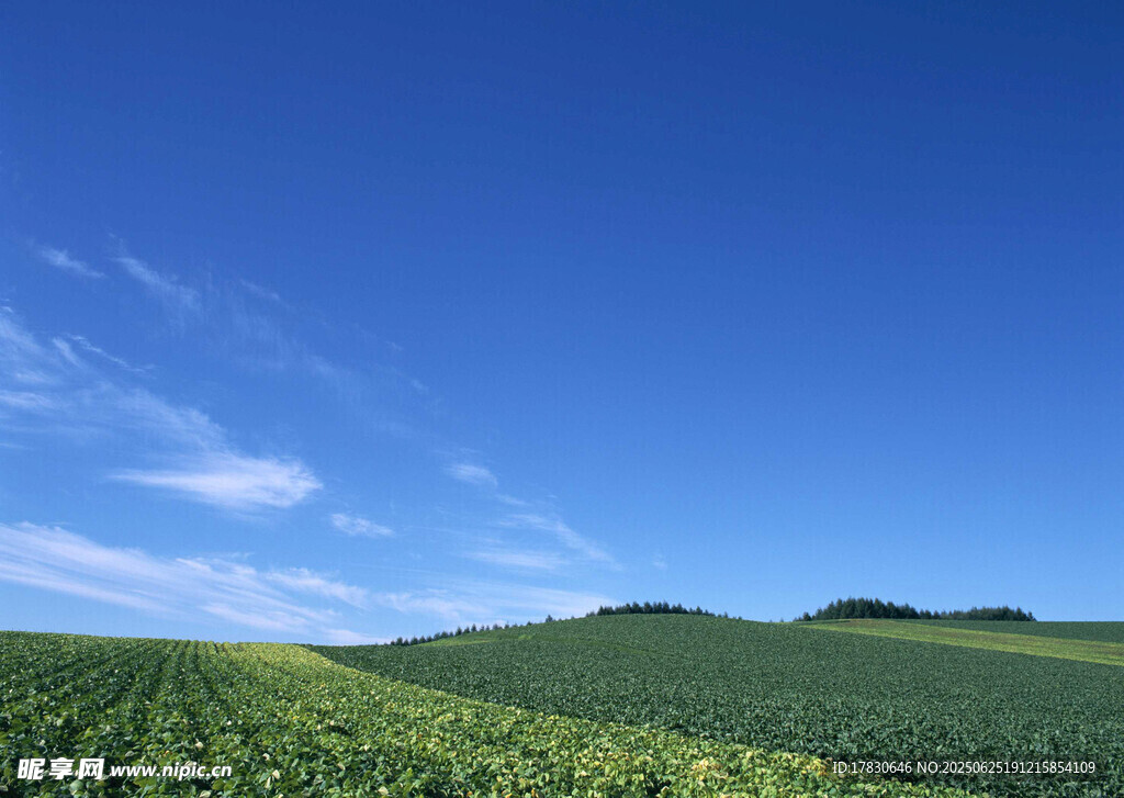 天空?qǐng)D片
