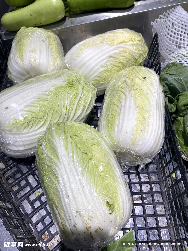 新鮮大白菜