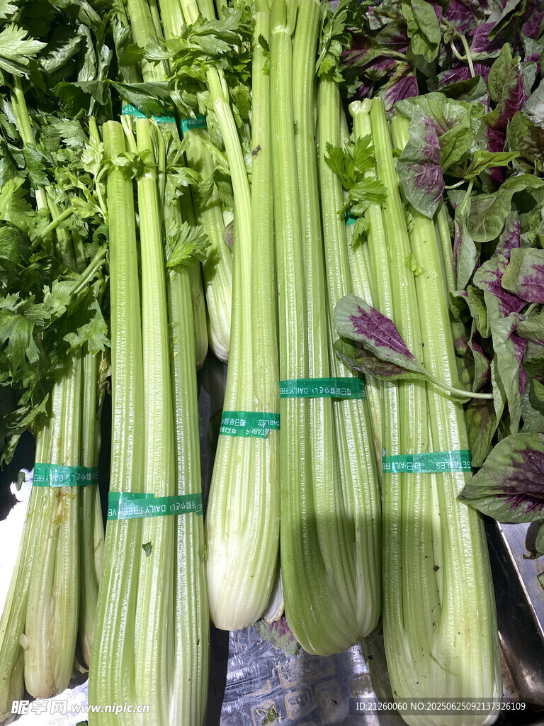 新鮮芹菜