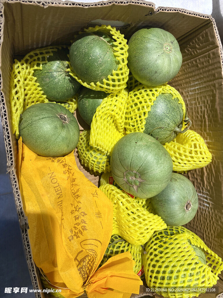 綠寶瓜