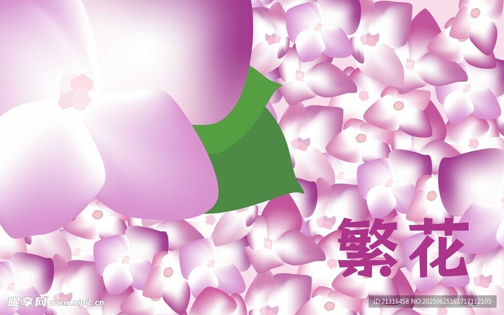 繡球花