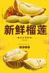 新鮮榴蓮