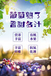 葡萄海報