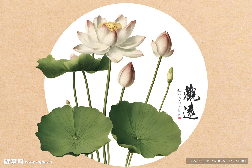 古典荷花圖