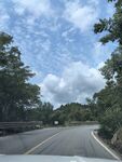 蜿蜒公路旁的蔥郁景致
