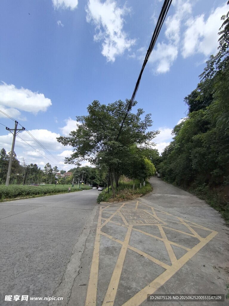 鄉(xiāng)村公路岔路口
