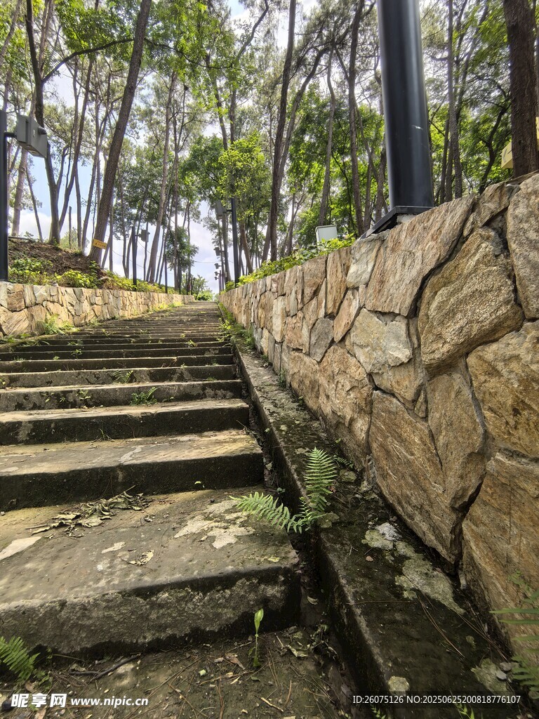 林間石階