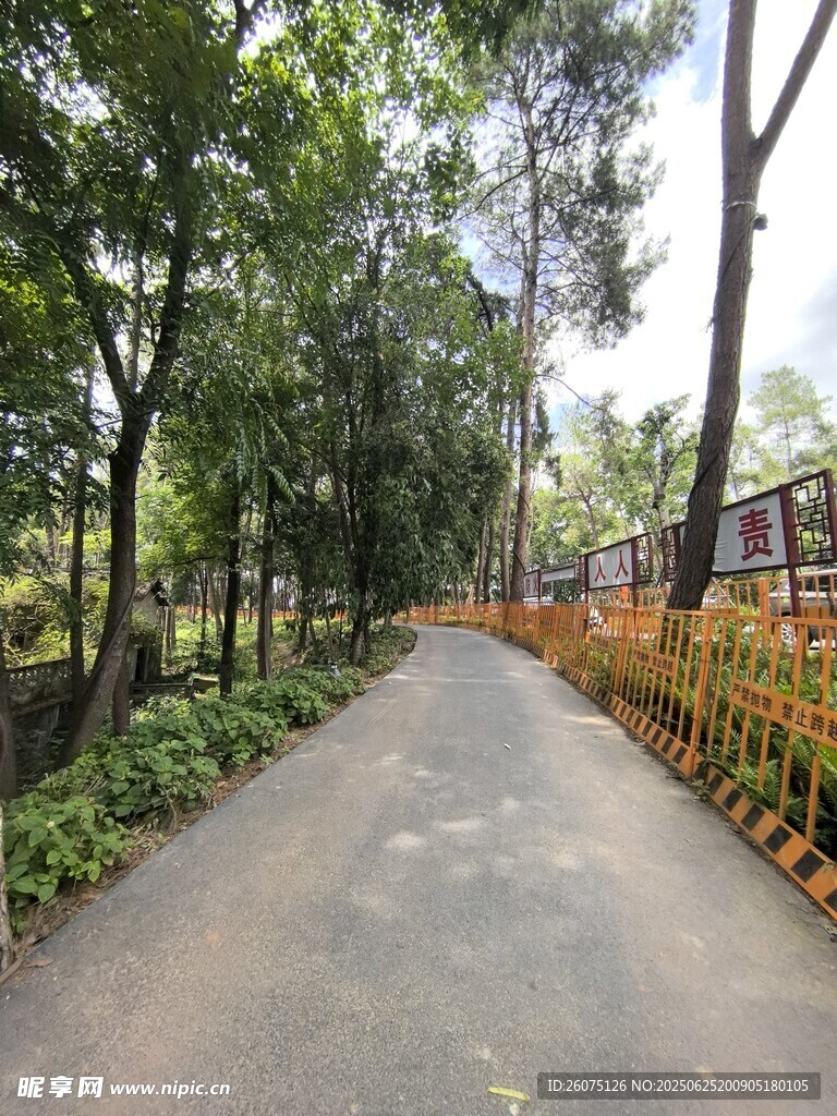 林間幽靜小路