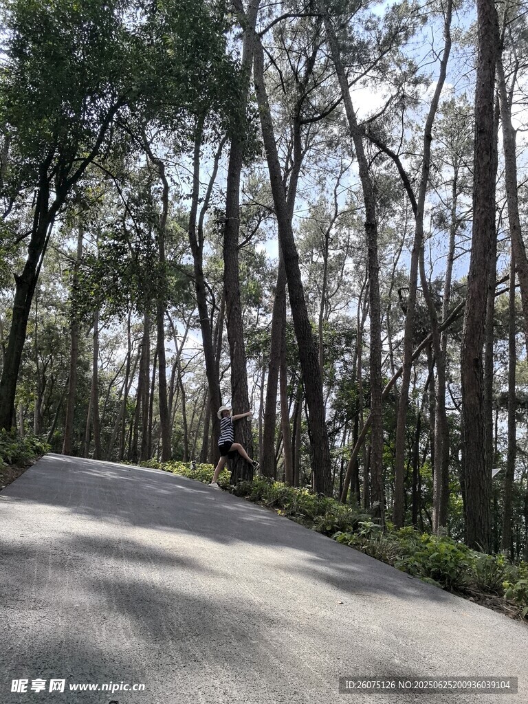 林間騎行路
