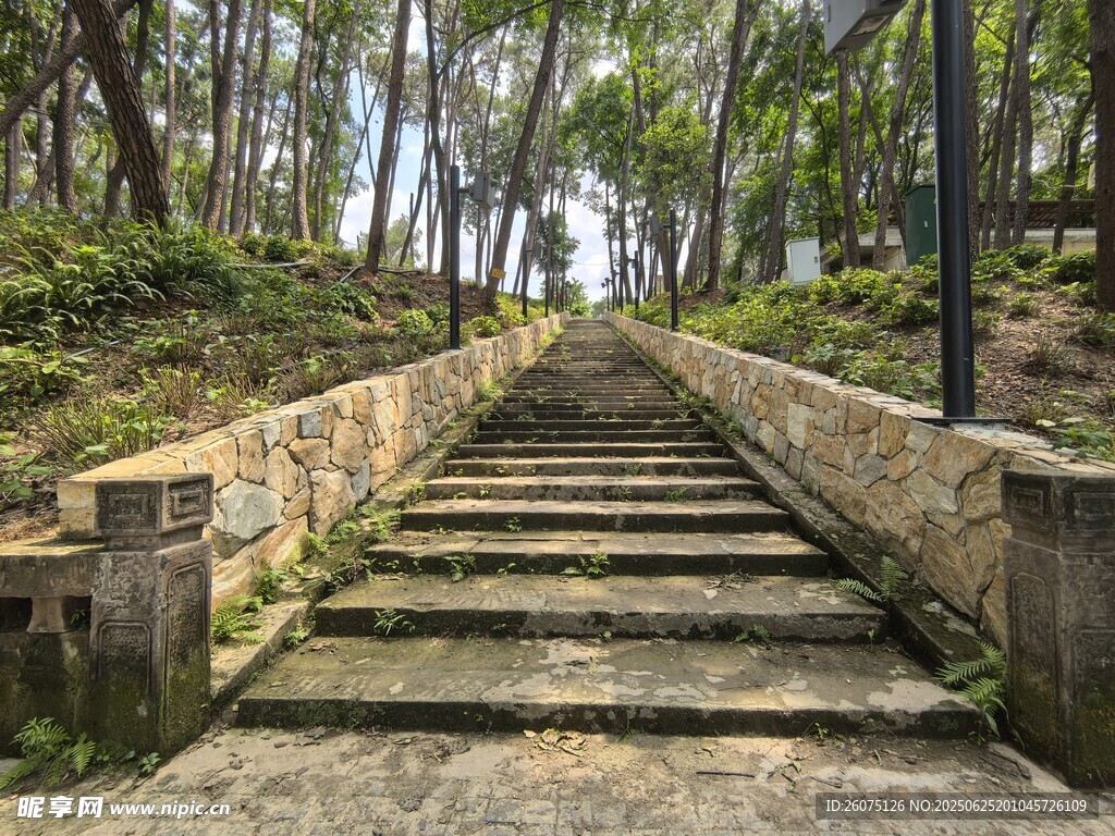 林間石階步道