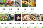 常見食材營(yíng)養(yǎng)成分對(duì)比圖
