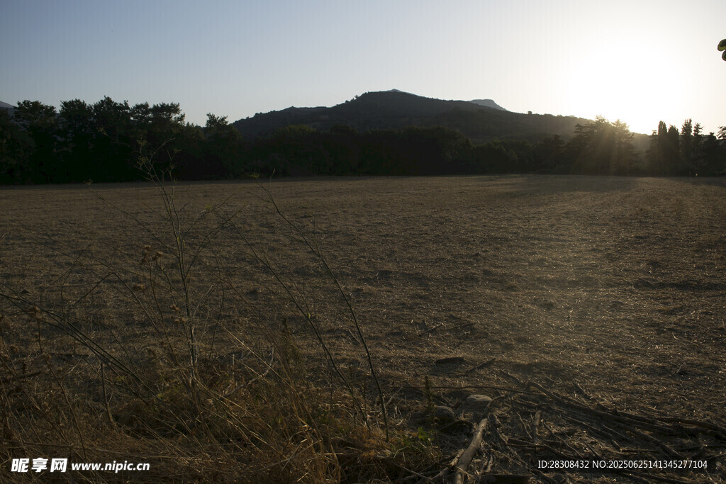 夕陽下的開闊田野