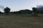 田野風光 遠處山巒與樹木