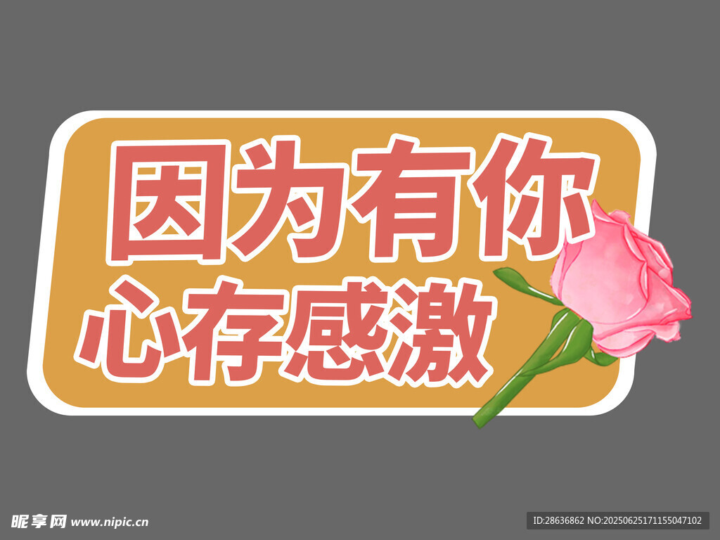 感恩節(jié)手舉牌  