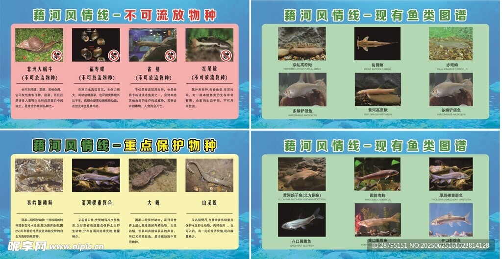 多樣海報設計展示