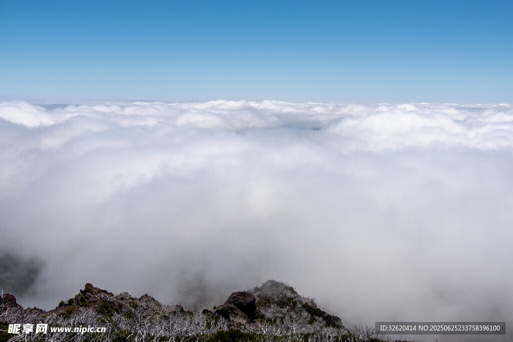 云海之上的壯麗山景